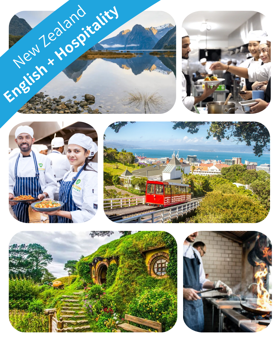 EdVENTURE Auckland – English + Hospitality