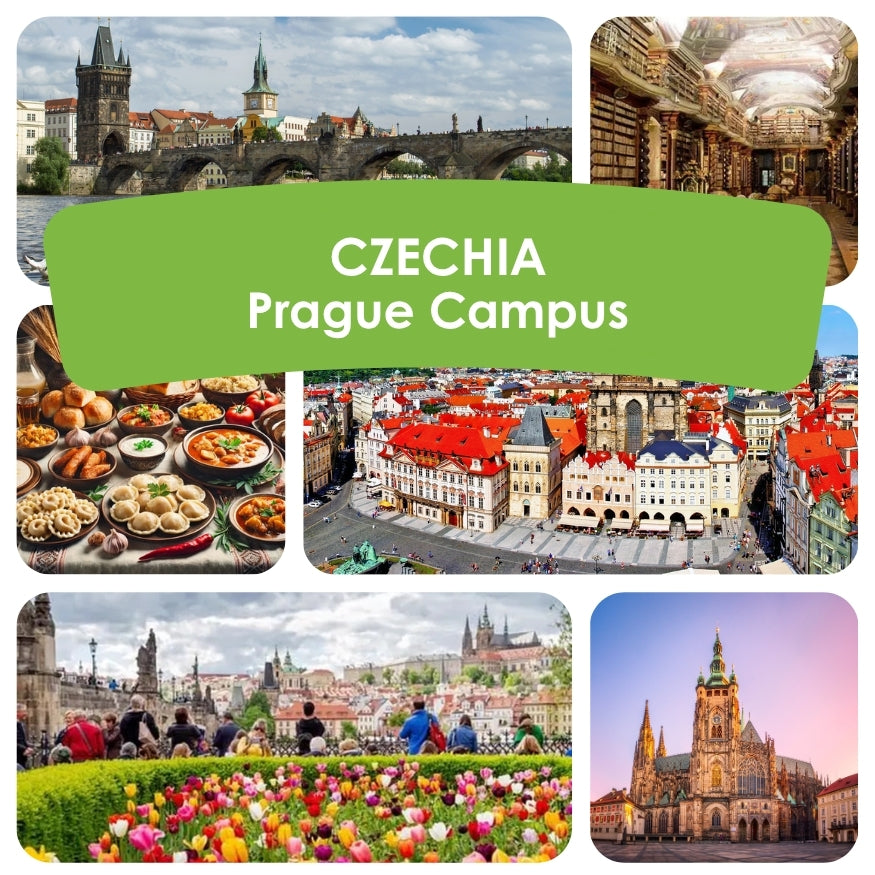 Collage of images from Prague, Czechia including architecture, food, and city views.