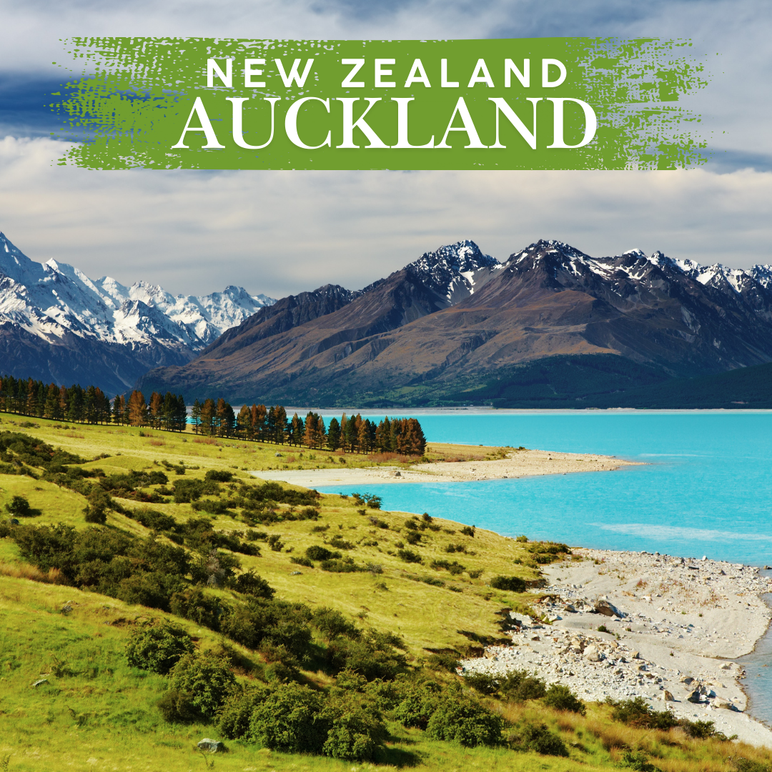 EdVenture New Zealand