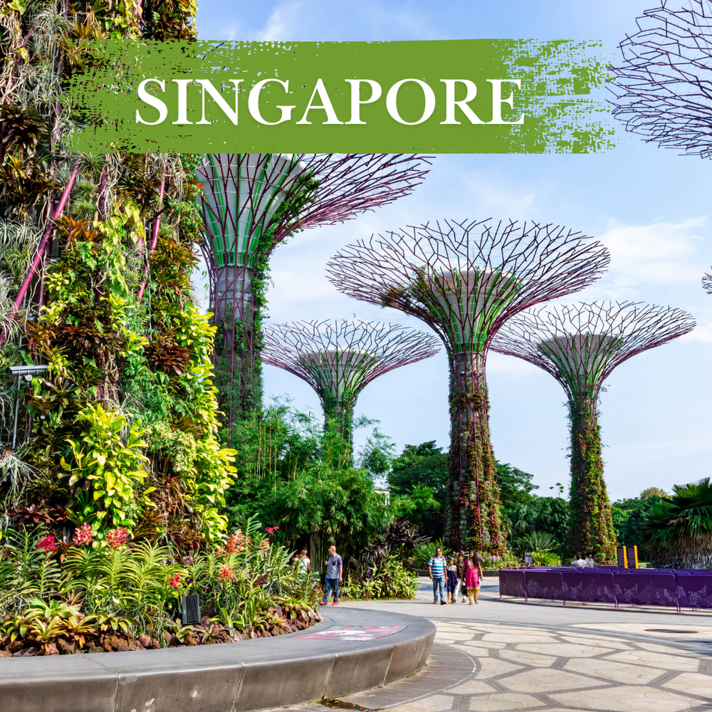 Laurus EdVentures - Transformative Study Tours for Future-Ready